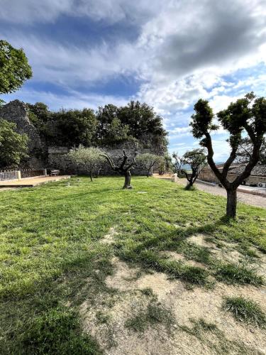 two trees in a field of grass with a cloudy sky at Le Castellas - Gîte en pleine Nature in Montmirat