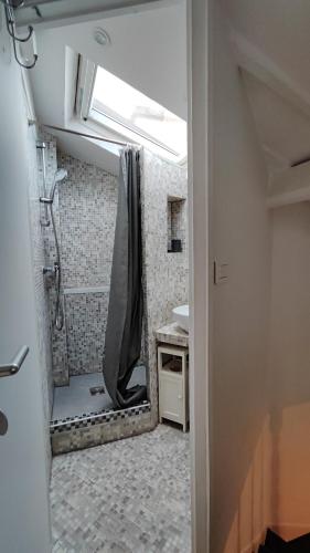 une salle de bain avec douche et lavabo dans l'établissement Avenue Niel - Paris 17 - 2170, à Paris
