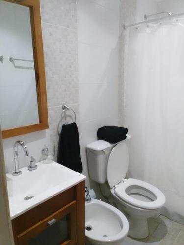 a bathroom with a toilet and a sink and a mirror at Chacaimanta Carhue in Carhué