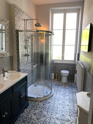 a bathroom with a shower and a sink and a toilet at La Belle Epoque in Époisses