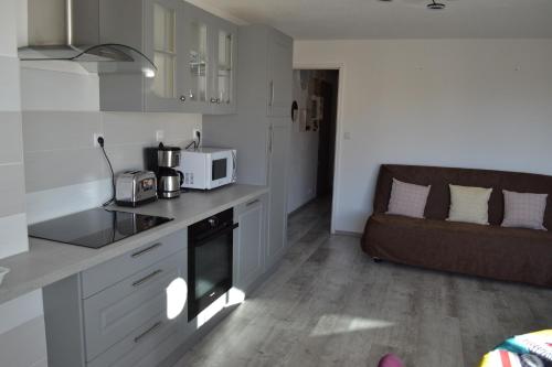 une cuisine avec un four micro-ondes et un canapé dans une chambre dans l'établissement Appartement T2 Cap d'Agde, au Cap d'Agde
