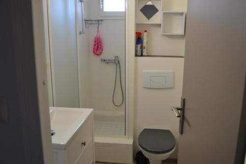 een badkamer met een douche, een toilet en een wastafel bij Appartement T2 Cap d'Agde in Cap d'Agde