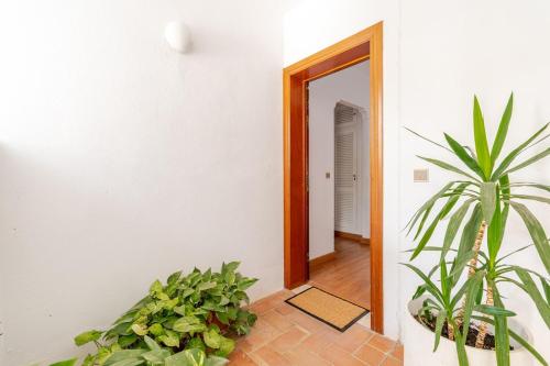 Apto 1 linea playa 1st line beach apartment
