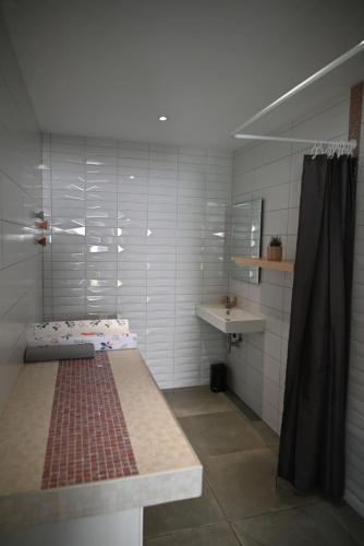 Cette chambre dispose d'une douche, d'un lit et d'un lavabo. dans l'établissement Gîte Gip Enea, à Saint-Étienne-de-Baïgorry