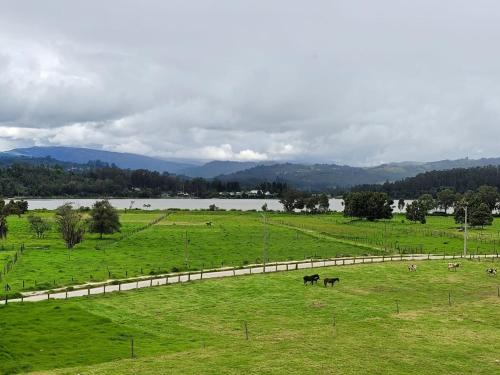 a field with horses grazing in a field with a river at Apartamento con vista al lago in Paipa
