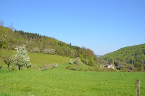 a green field with a hill in the background at Bad Schauenburg in Liestal