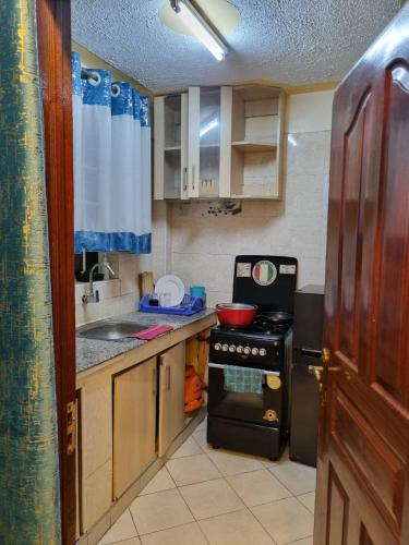 a small kitchen with a stove and a sink at Lovely 1 bedroom with free speedy wifi in Nairobi