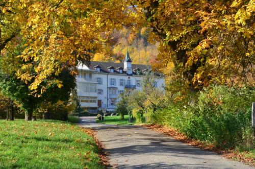 a road leading to a large white house at Bad Schauenburg in Liestal