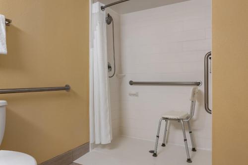 a bathroom with a shower and a stool at Holiday Inn Express Tallahassee by IHG in Tallahassee