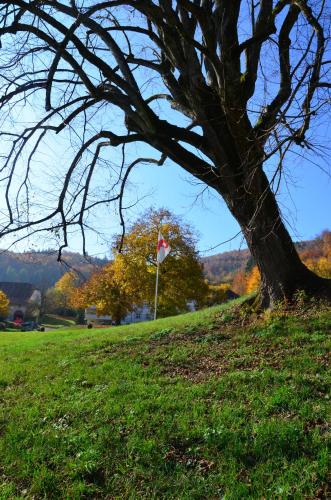 a tree in a field next to a flag at Bad Schauenburg in Liestal