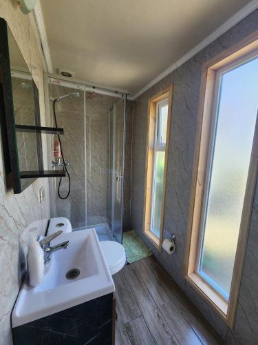 a bathroom with a sink and a toilet and a window at Céntrica y Hermosa Casa Apartamento in Puerto Varas
