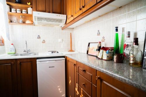 a kitchen with a sink and a dishwasher at Giannakos Apartments in Ydroússa