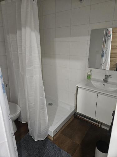 La salle de bains est pourvue d'un rideau de douche blanc et d'un lavabo. dans l'établissement Studio pied des pistes, à Villard-de-Lans