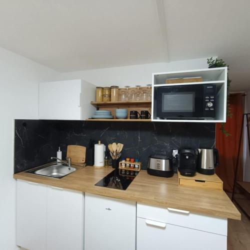 une cuisine avec un comptoir avec un micro-ondes dans l'établissement Le paisible de triolo, à Villeneuve d'Ascq