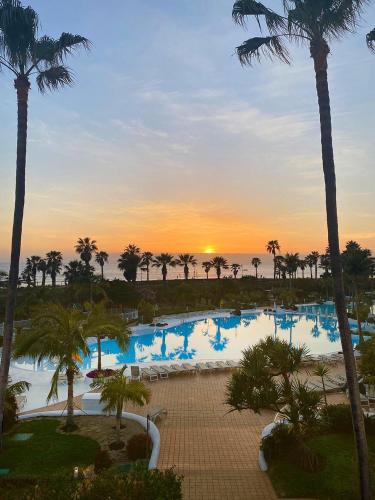 Prime garden-view Studios