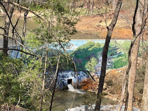 a bridge over a river in the middle of a forest at NC Foothills Cottage with Views in Jonesville