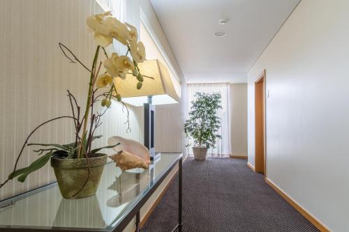 a glass table with a potted plant on top of it at Atlantida Mar Hotel in Praia da Vitória