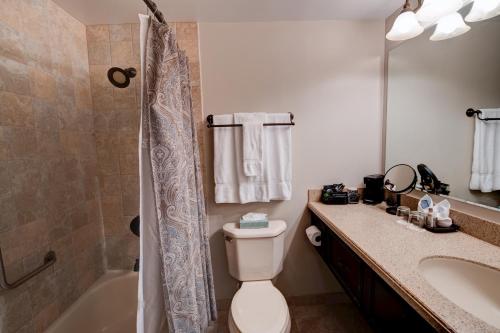 a bathroom with a toilet and a sink and a shower at Nassau Inn in Princeton