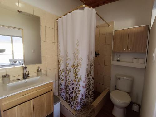 a bathroom with a toilet and a shower curtain at Hostal Yurak in San Pedro de Atacama