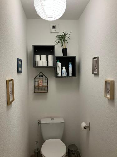 une salle de bain avec toilettes et une plante en pot dans l'établissement Maison en Drôme provençale, à Nyons