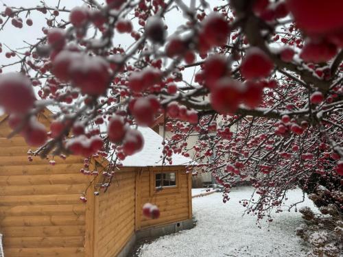 a cabin in the snow with a tree in the foreground at Harmony Park in Kondrajec