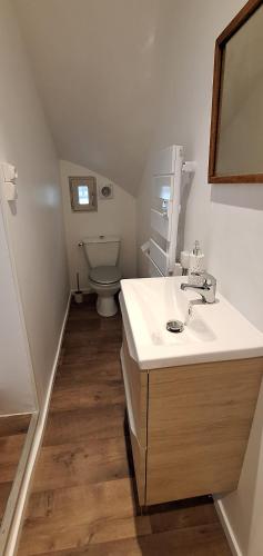 une salle de bain avec un lavabo et des toilettes dans l'établissement L'Eau Reine, à Saumur