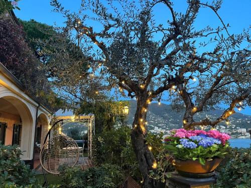 a house with a tree and flowers and lights at Villa Mares - sea view, free garage in Rapallo