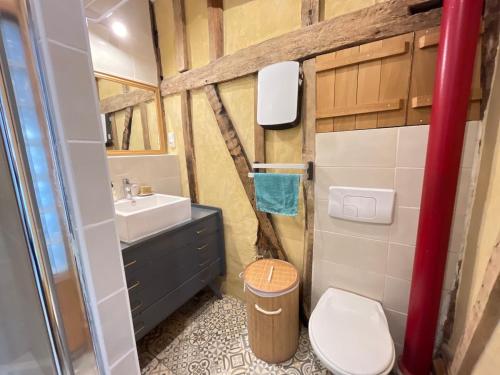 une petite salle de bain avec toilettes et lavabo dans l'établissement Appartement avec terrasse a 10min a pied du centre et de la gare, à Troyes