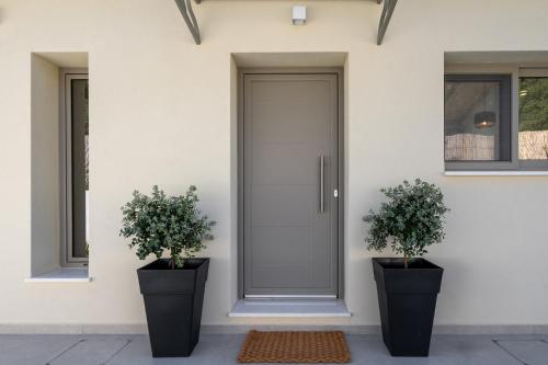 two potted plants sitting in front of a door at Villa Armeno in Vlachata