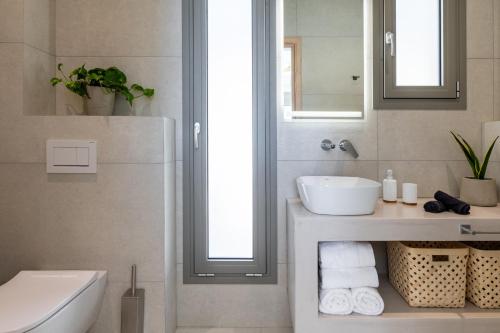 a bathroom with a sink and a toilet and a mirror at Villa Armeno in Vlachata