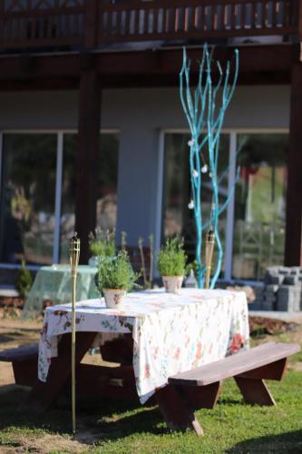 a table with potted plants on it in a yard at Lawendowy Raj in Pilchowice