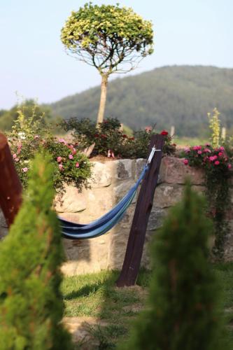 a blue hammock in a garden with a tree at Lawendowy Raj in Pilchowice