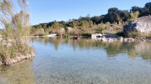 a river with a group of animals in the water at Boulderdash Birdhouse Studio in Bandera