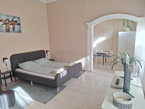 Fotografie z fotogalerie ubytování MainStreet apartman v destinaci Subotica