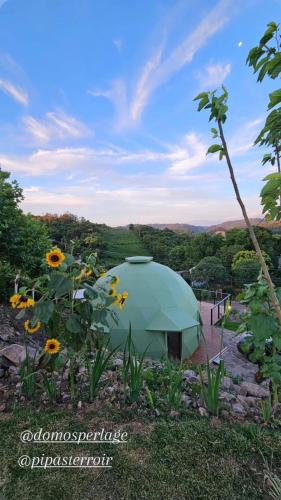a green tent in the middle of a field of sunflowers at Pipas Terroir & Domos Perlage - Experiências Únicas no Vale dos Vinhedos in Bento Gonçalves