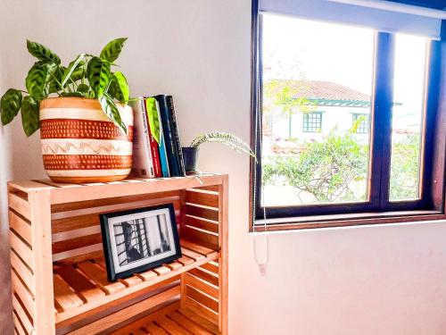 a plant sitting on a shelf next to a window at Serena Morena in Villa de Leyva