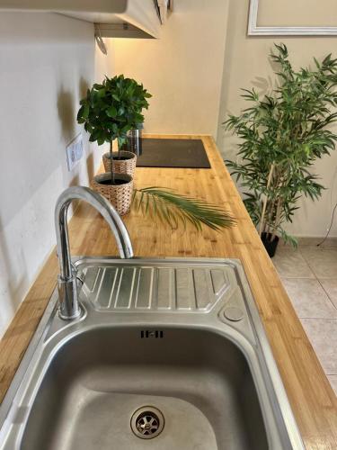 a kitchen sink with two potted plants on a counter at Sunny terrace & pool in Playa de las Americas