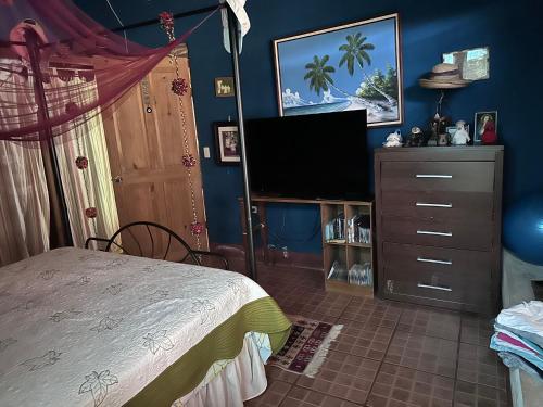 a bedroom with a bed and a flat screen tv at Yellow House in Huacalillo