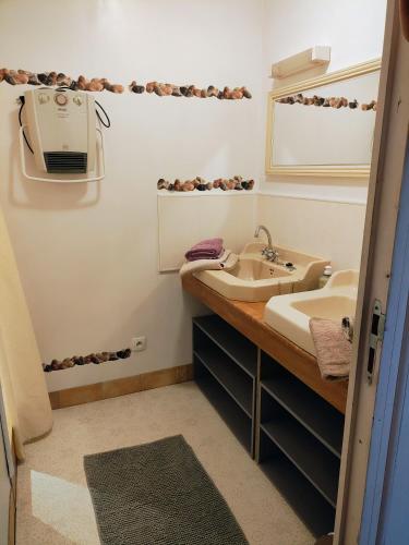 a bathroom with a sink and a mirror at Le Pigeonnier - Chambres d'hôtes in La Roche-Posay