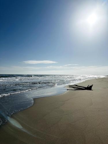 Appartement 4 personnes à 50 m de la plage