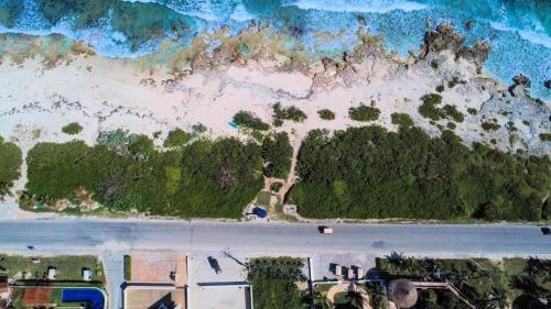 Una vista aérea de una playa con árboles y el océano. en Villas Eclipse by Andiani Travel, en Isla Mujeres