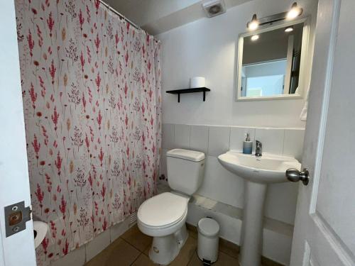 a bathroom with a toilet and a sink and a mirror at Departamento dos dormitorios in Curicó