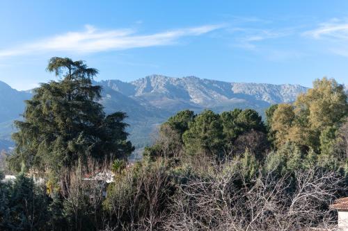Φυσικό τοπίο κοντά σε αυτό το διαμέρισμα