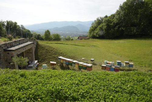 a group of train cars parked in a field at La casa di Maia - Alloggio Agrituristico in Pedavena