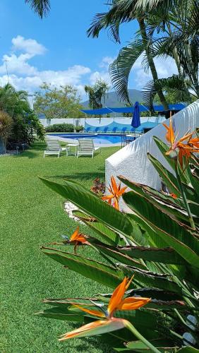 a garden with chairs and flowers next to a pool at Hotel Iguanas in Yautepec