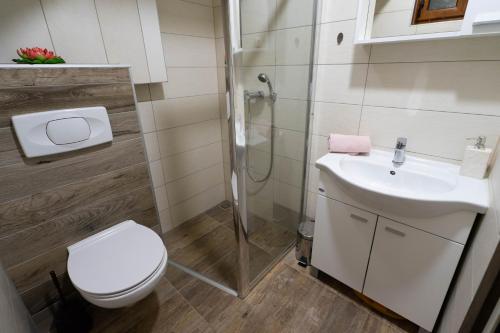 a bathroom with a toilet and a sink and a shower at Vikend Kuća Mirko in Risovac