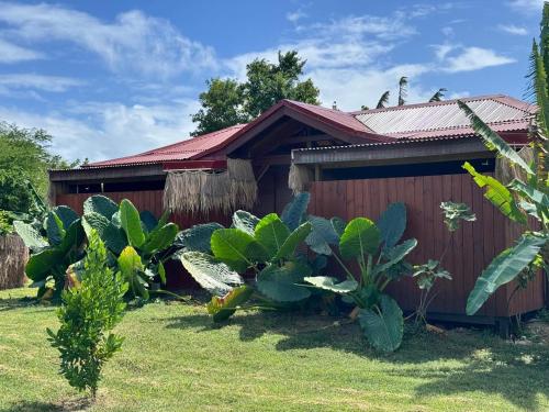 a wooden building with plants in front of it at Ecolodge Anacardier -Bungalow Deluxe 1 in Saint-François