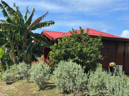 a house with a red roof and some trees and bushes at Ecolodge Anacardier -Bungalow Deluxe 1 in Saint-François