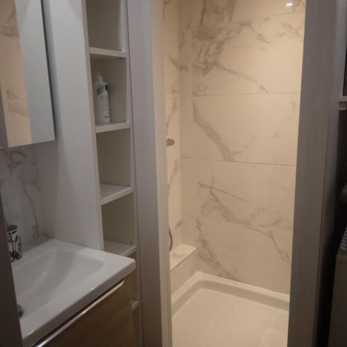 une salle de bain avec un lavabo et une douche dans l'établissement appartement calme, à Valras-Plage