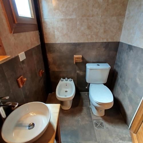 a bathroom with a toilet and a sink at Flores del Limay cabañas in Dina Huapi